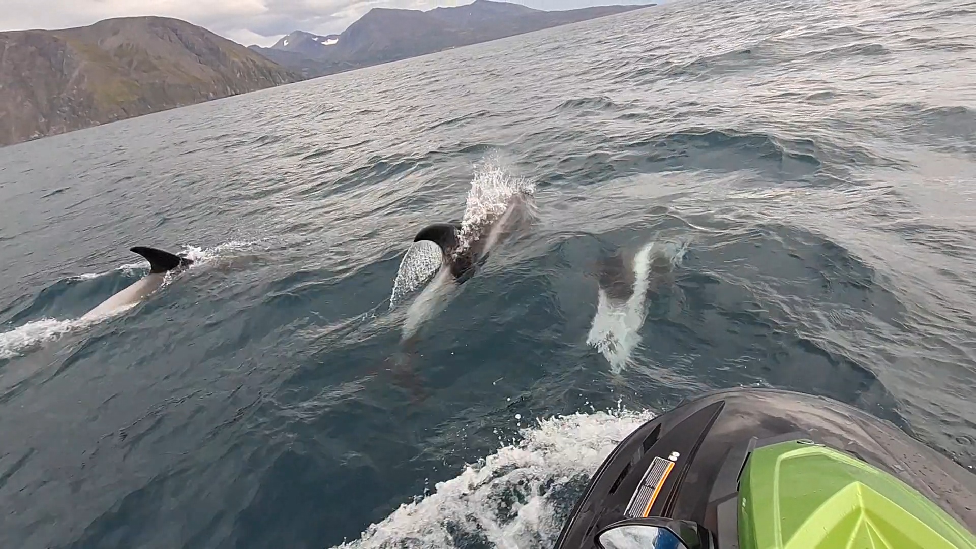 Húsavík jetski