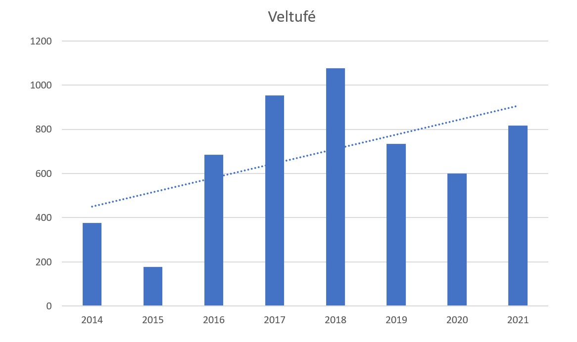 Velturfé