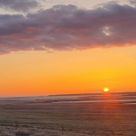 vedurklubbur-dalbaejar