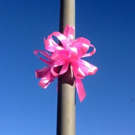 12191793_867310976710123_4347445860972968327_n-1-161