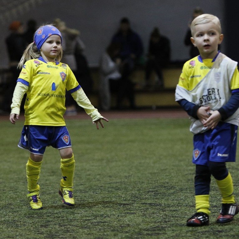 Mynd: Skapti Hallgrímsson