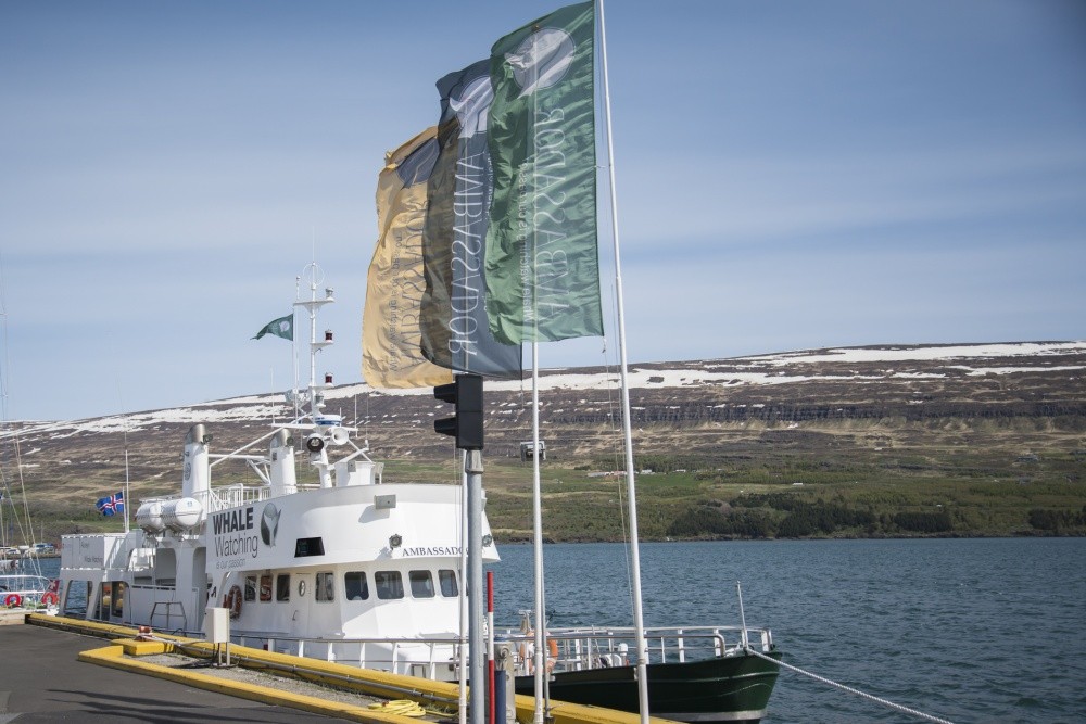 Ambassador býður upp á hvalaskoðunar- og ýmsar sérferðir frá Torfunesbryggju við miðbæinn sem taka þ…