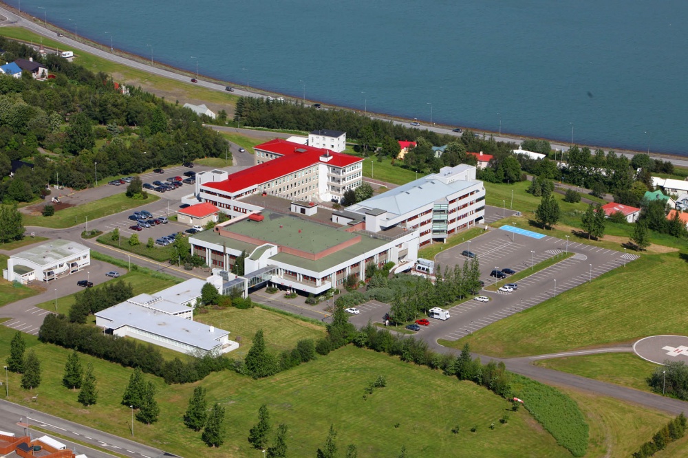 Starfsemi Sjúkrahússins á Akureyri verður skipt upp í þrjú klínísk svið auk sviðs fjármála. Mynd: Hö…