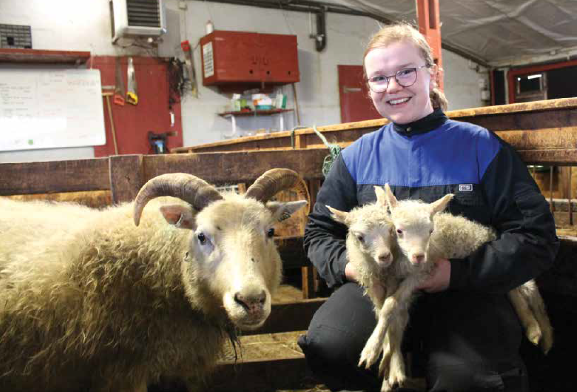 Á myndinni eru
Sigríður Atladóttir og ærin Rós með gimbrarnar sem þær eru báðar mjög ánægðar með“. …