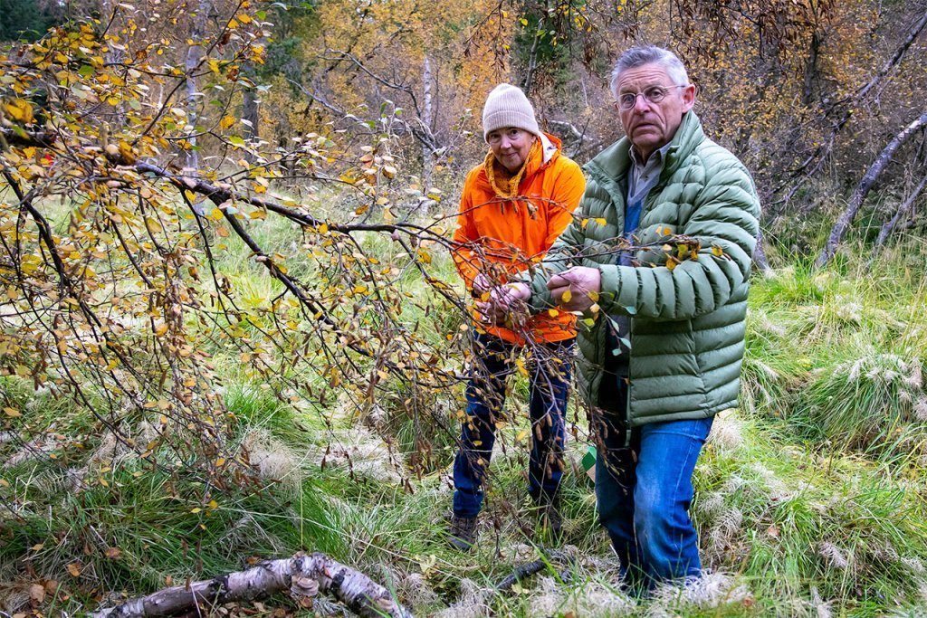 Samhent hjón, Anna Guðmundsdóttir og Páll Ingvarsson í Reykhúsum í Eyjafjarðarsveit lögðu sitt af mö…