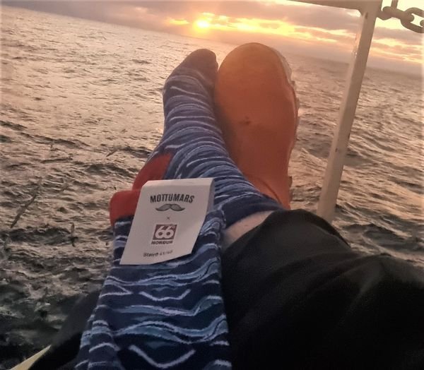 Þessi skemmtilega mynd var tekin í vikunni um borð í einu skipa félaganna, sokkarnir góðu njóta sí…