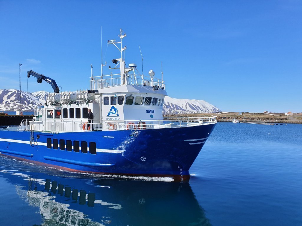 Bæjarráð telur nauðsynlegt að eyða óvissu um rekstur Hríseyjarferjunnar en samningur rennur út um ár…