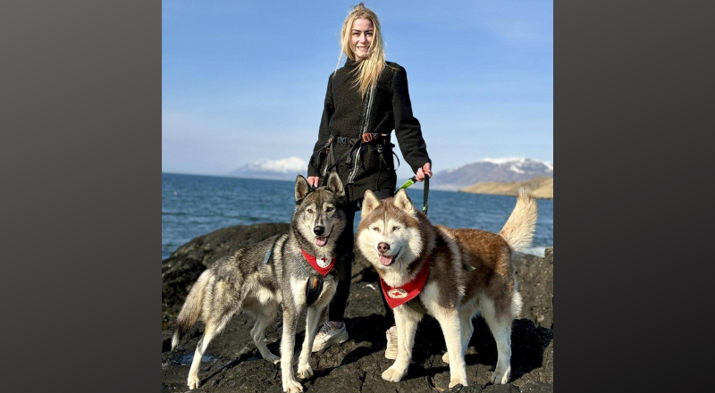 Sunna með Loga og Kol sem báðir eru heimsóknarhundar. Þeir heimsækja Brekkukot, skammtímavistun fyri…