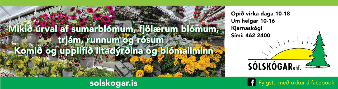 Sólskógar